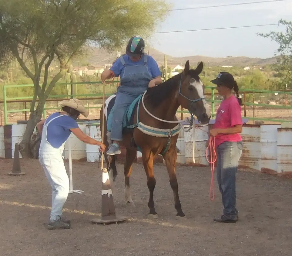 Peoria/Glendale - Horse Leader/Side Walker Aide - now riding in New River, AZ