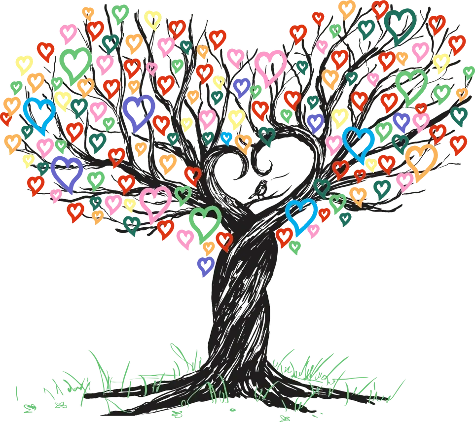 Community Outreach Volunteer
