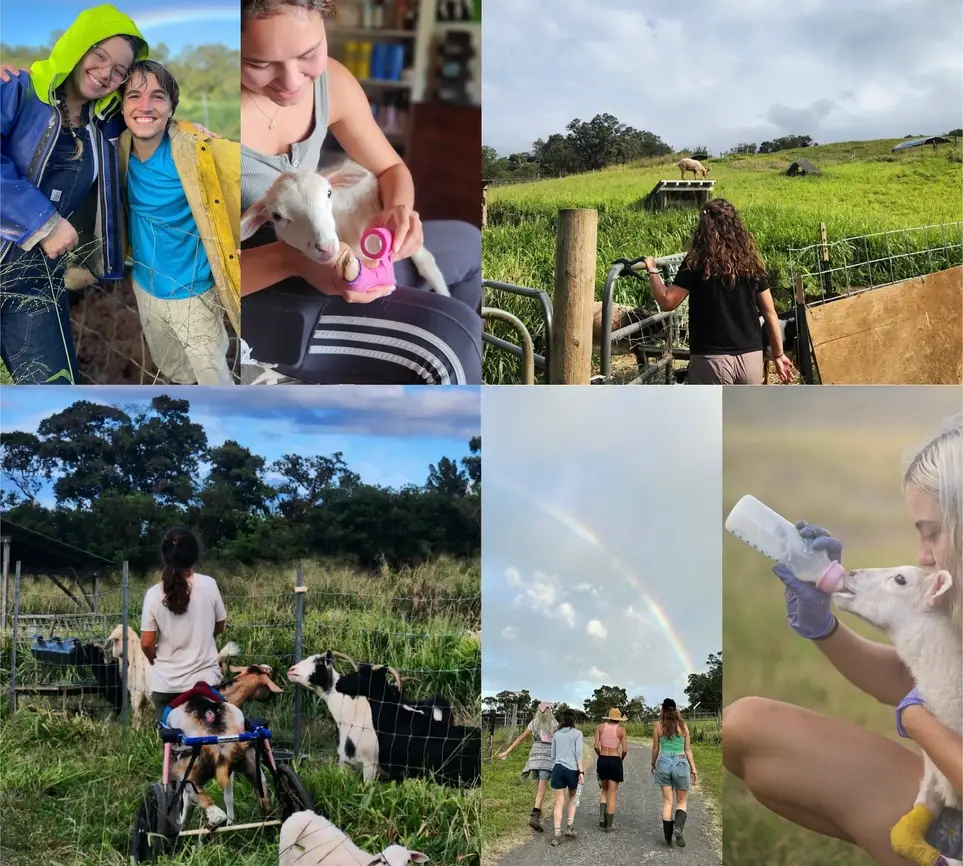 Animal Care Volunteer (Work Trade with Shared Housing)