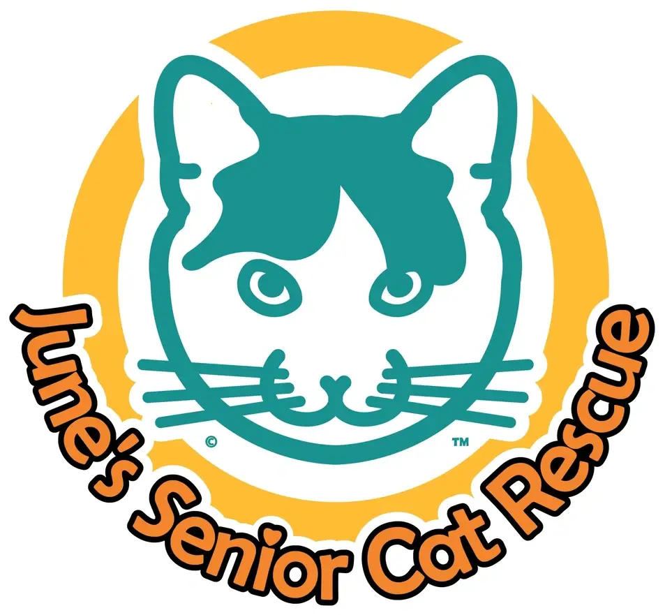 Volunteer Board Members Needed