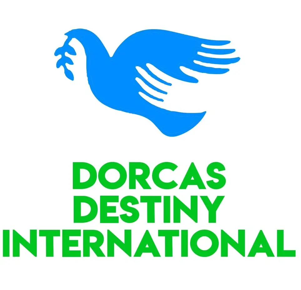 Accounting & Bookkeeping Support