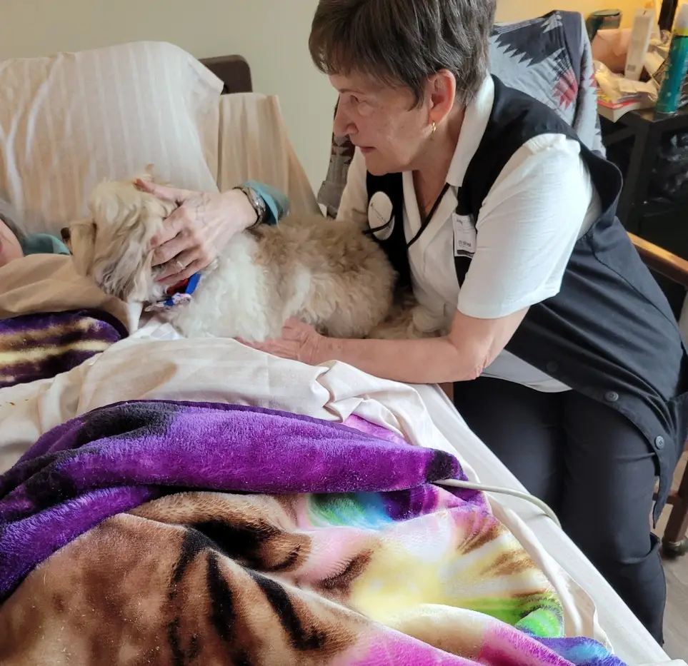 Pet Therapy Volunteer in Glenview, IL - Must have Certified Dog, Cat, Mini Horse or Other