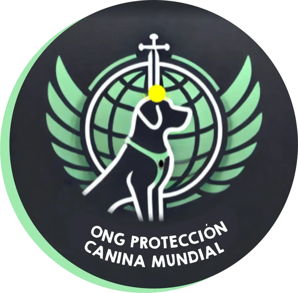 Voluntariado Virtual para Salvar Perros en Colombia – ¡Apoya desde cualquier lugar!