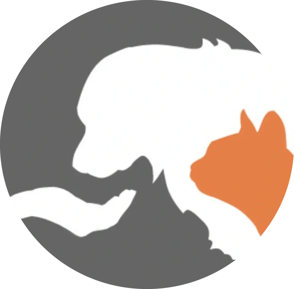 Help Us Find the Purrfect Homes! Virtual Admin Support for Animal Rescue