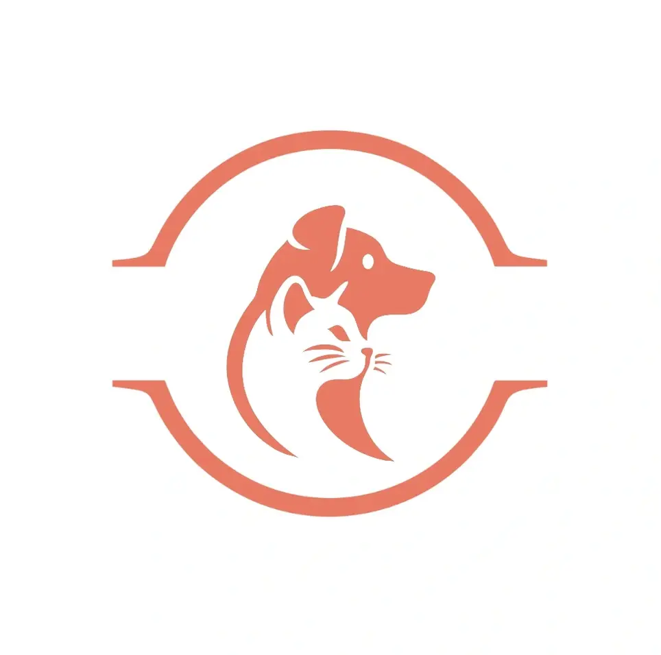 Web Developer Needed for a Youth Led Initiative