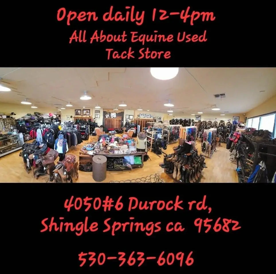 Retail Assistant