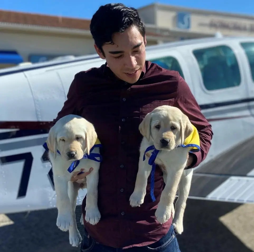 Help Transport Future Service Dog Puppies!