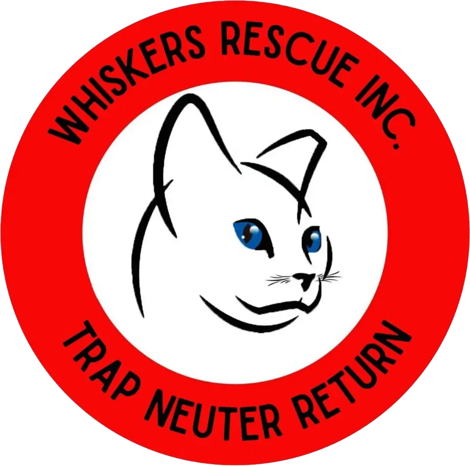 Grant Writing & Management