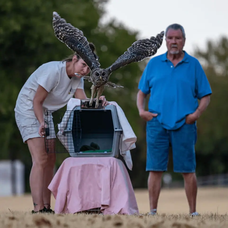 Save Raptors and the Environment