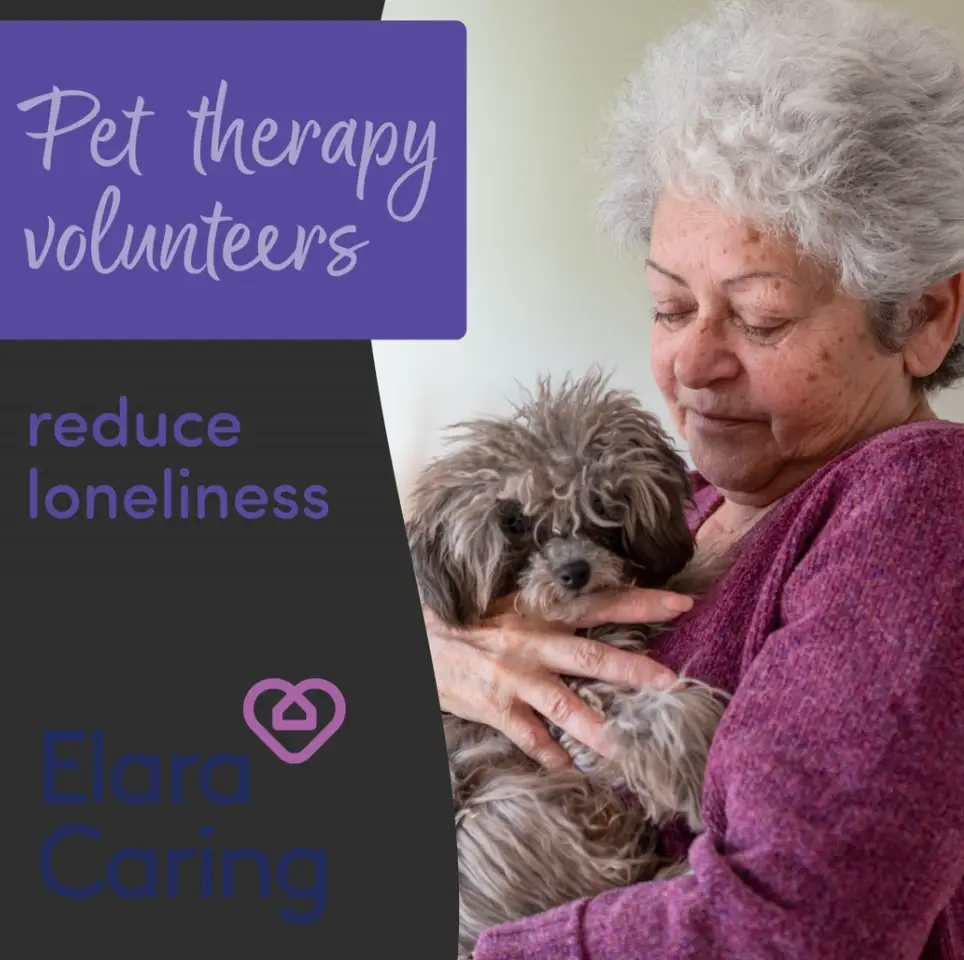 Bring Comfort on Four Paws | Pet Therapy Volunteers!