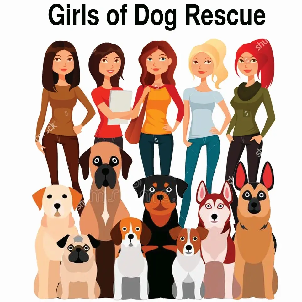 Need transport in evening time during the week / sometimes weekends