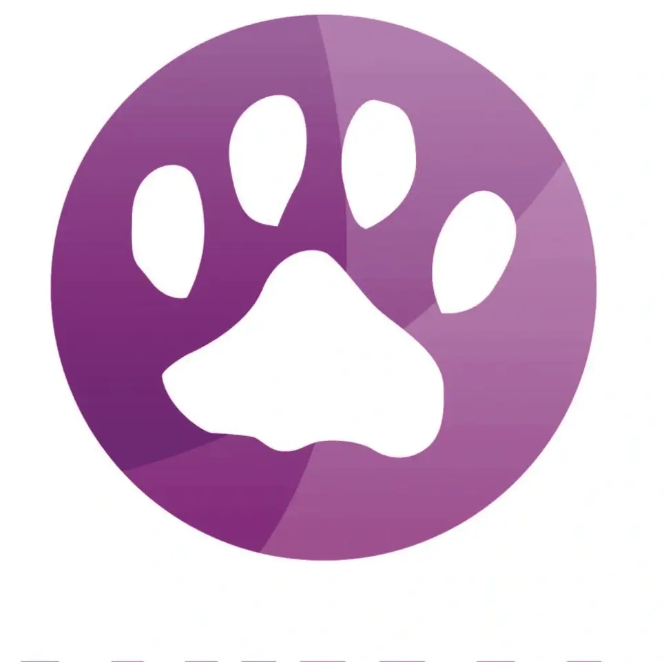 Cat/kitten attendant volunteer - Animal House Shelter