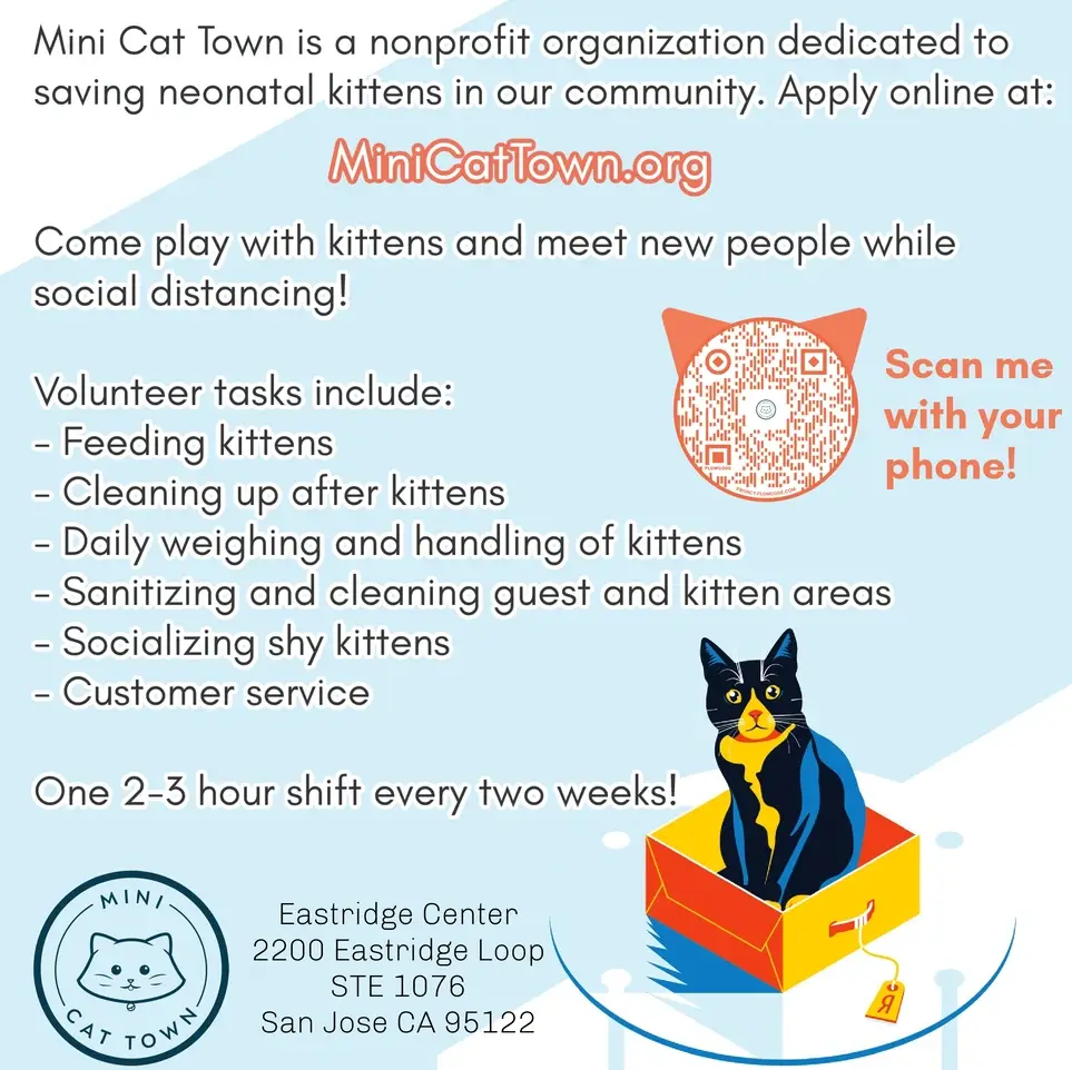 Kitten Cuddler- Palo Alto