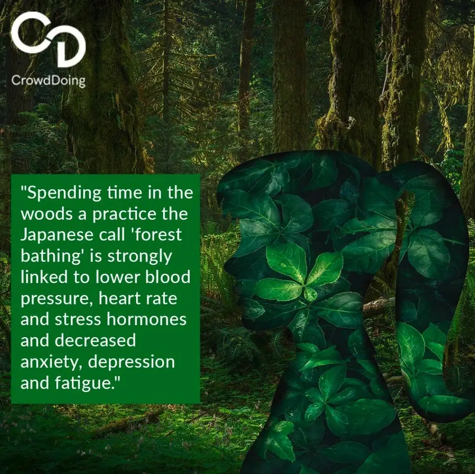 Marketing Co-leader, Nature Counter by CrowdDoing