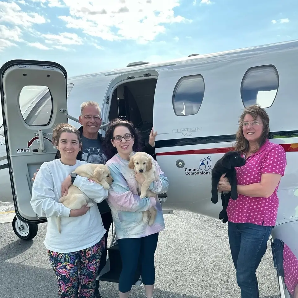 Love Dogs? Help Transport Future Service Dog Puppies!
