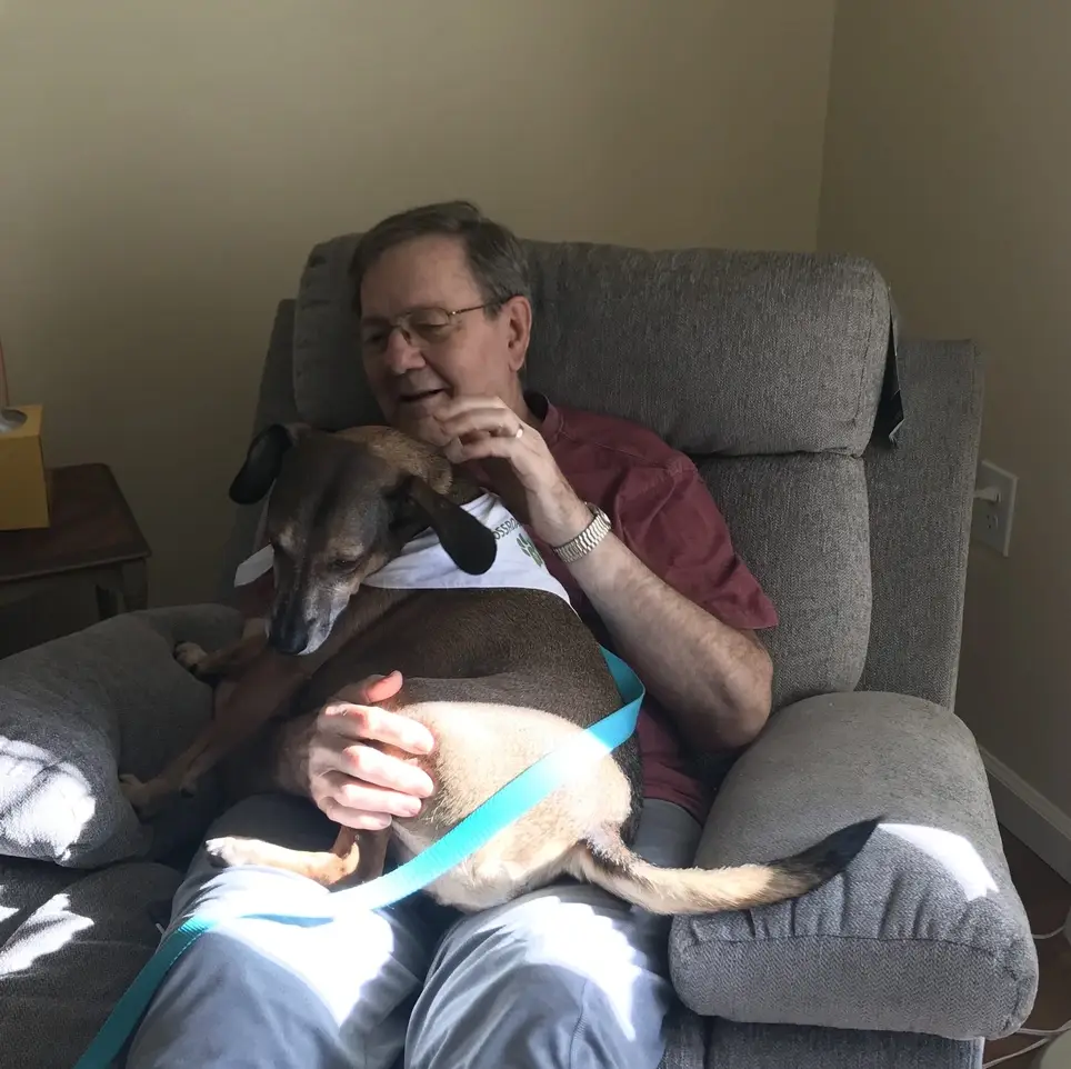 Dog Visitors for Hospice Patients