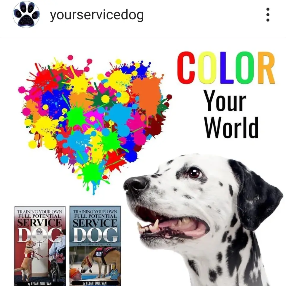 Experienced Graphic Artist Needed