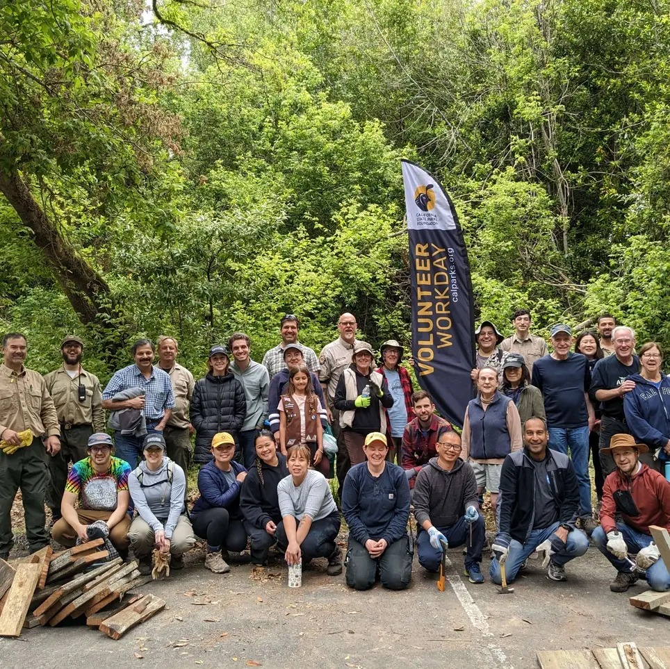 Volunteer at Henry Cowell Redwoods State Park! (Monthly Events)
