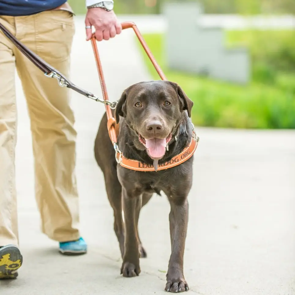 Client Driver for Leader Dogs for the Blind