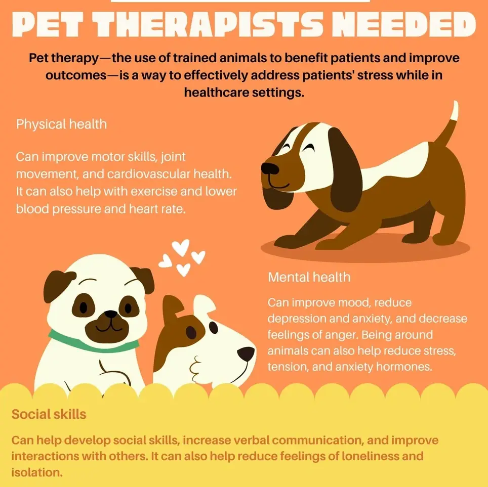 Volunteer Pet Therapist