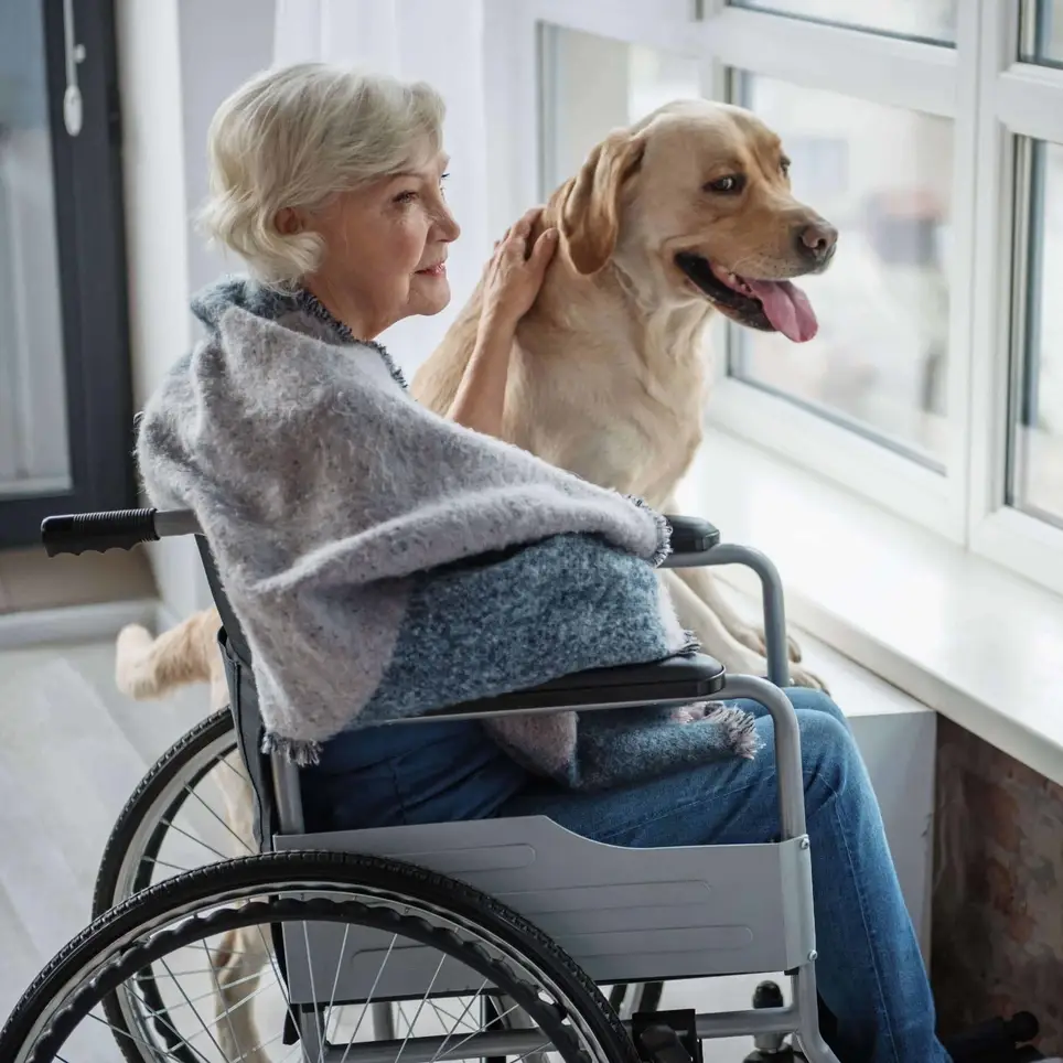 Do you Have a Service animal? We are looking for a Pet Therapy Volunteer for Hospice