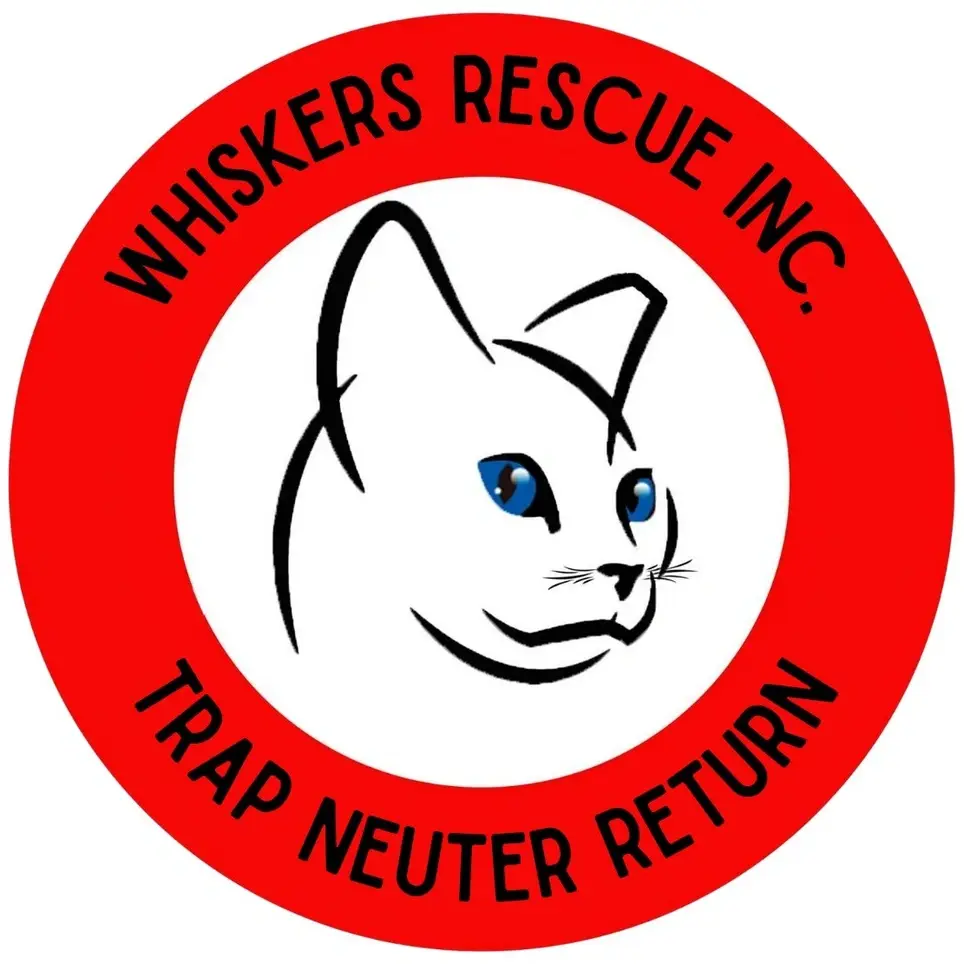 Legal Counsel for TNR Non Profit