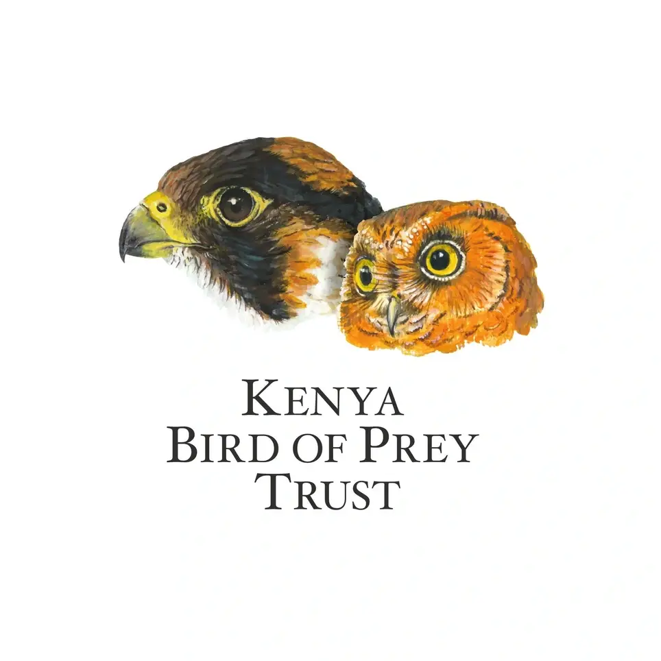 Volunteer at The Kenya Bird of Prey Trust in Naivasha, Kenya