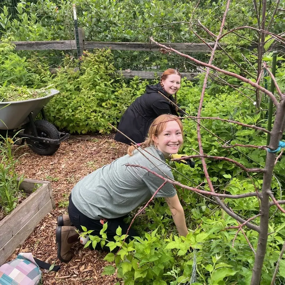 Garden Volunteer