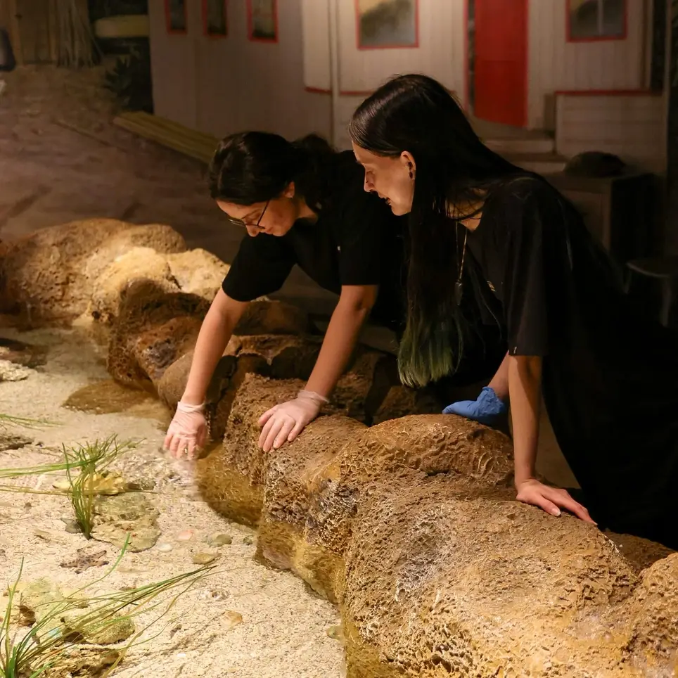 Animal Care Volunteers