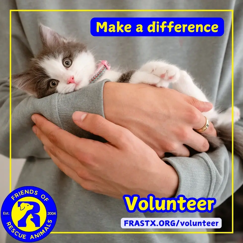 PetSmart Cat Adoption Ambassadors