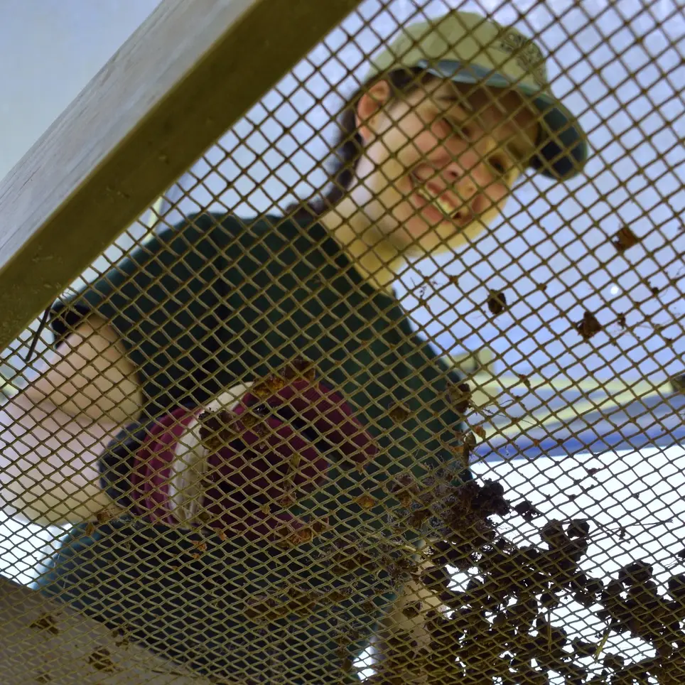 Archaeology Volunteer