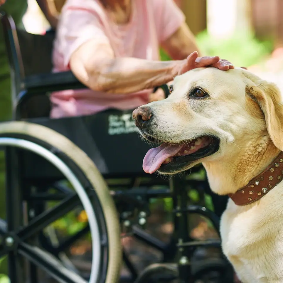 St. Peter, MO - Pet Therapy Volunteer