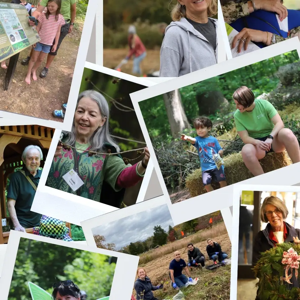 Admission Gatehouse Volunteers Needed at Bowman's Hill Wildflower Preserve