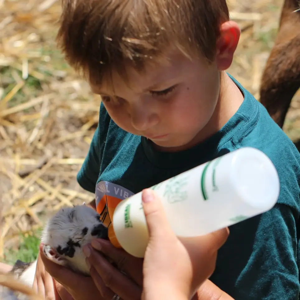 Farm Volunteer Help