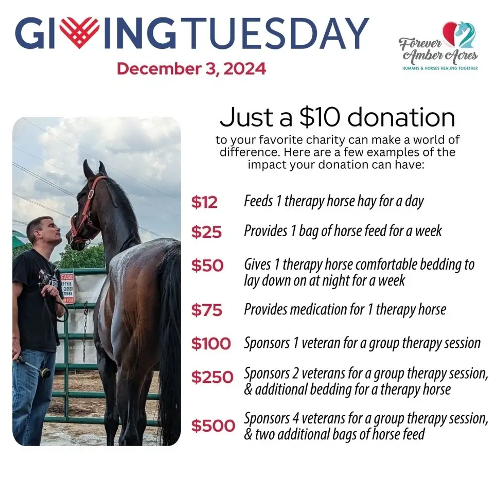 Digital Marketing Support