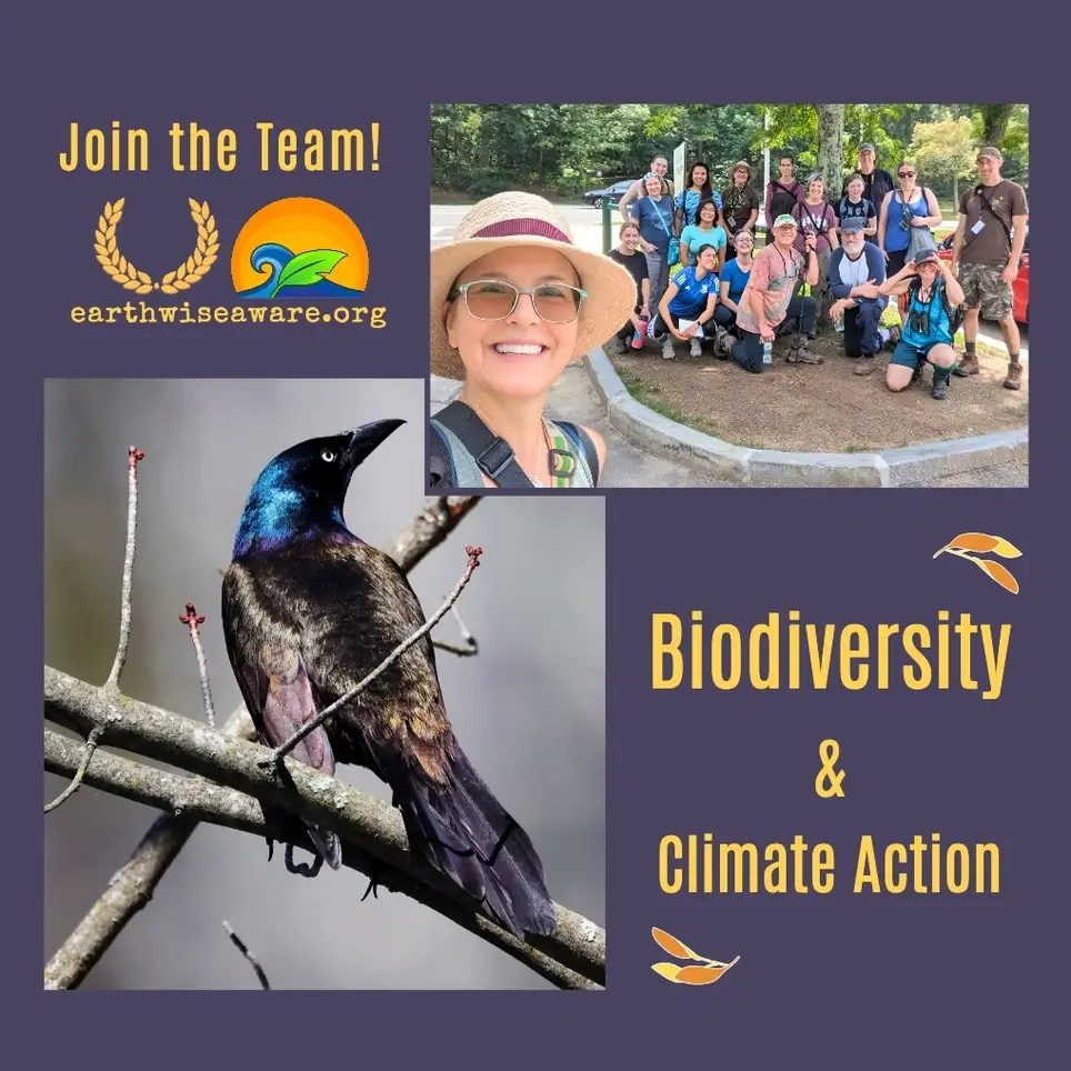Fells (Medford) Biodiversity & Climate Citizen Scientist