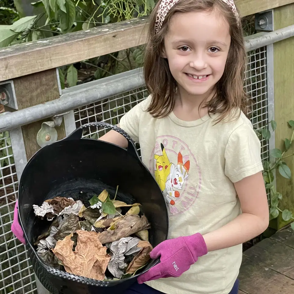 Glasshouse Biome Clean-up