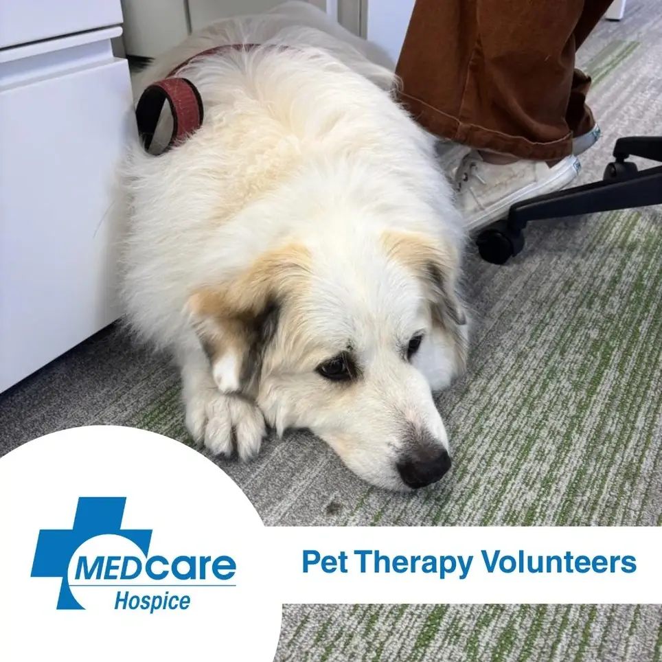 Pet Therapy Volunteer – Share the Healing Power of Your Pet