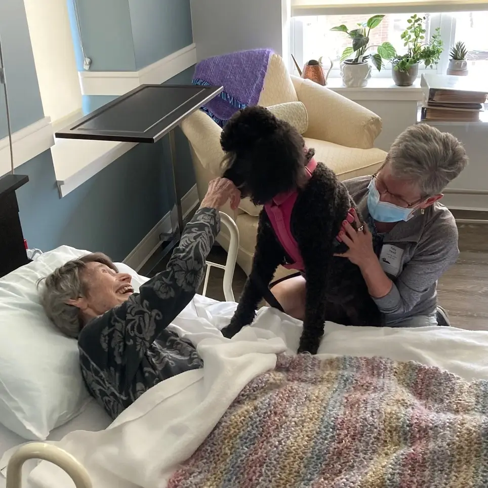 Grace Hospice Seeking Human and Pet Volunteers!