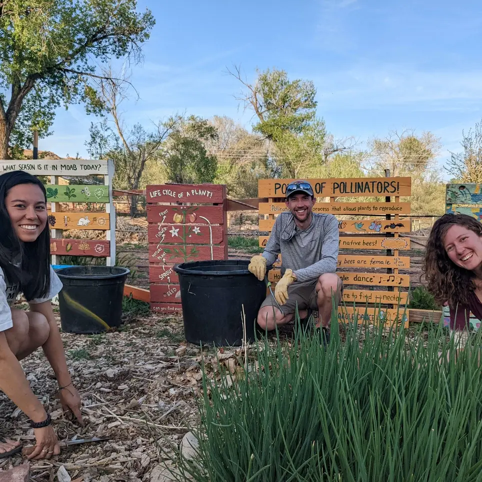 Individual Volunteering