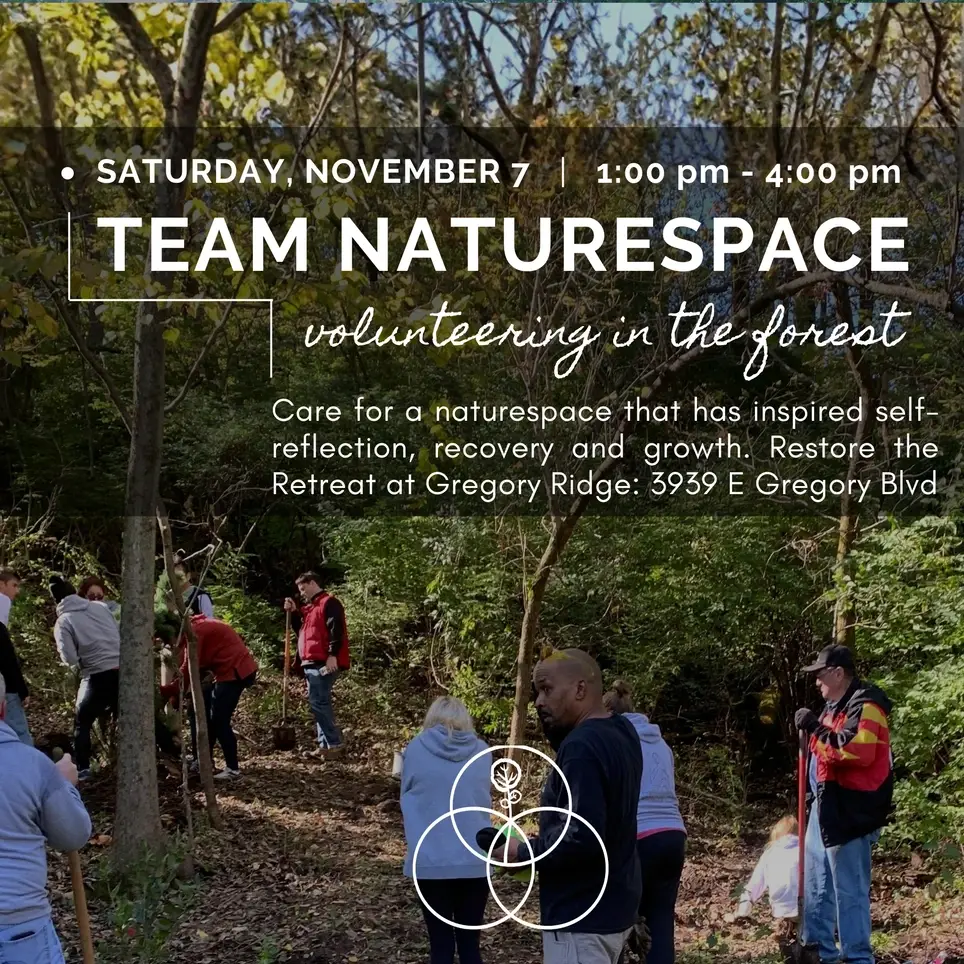 Team Naturespace – Autumn Forest Stewardship