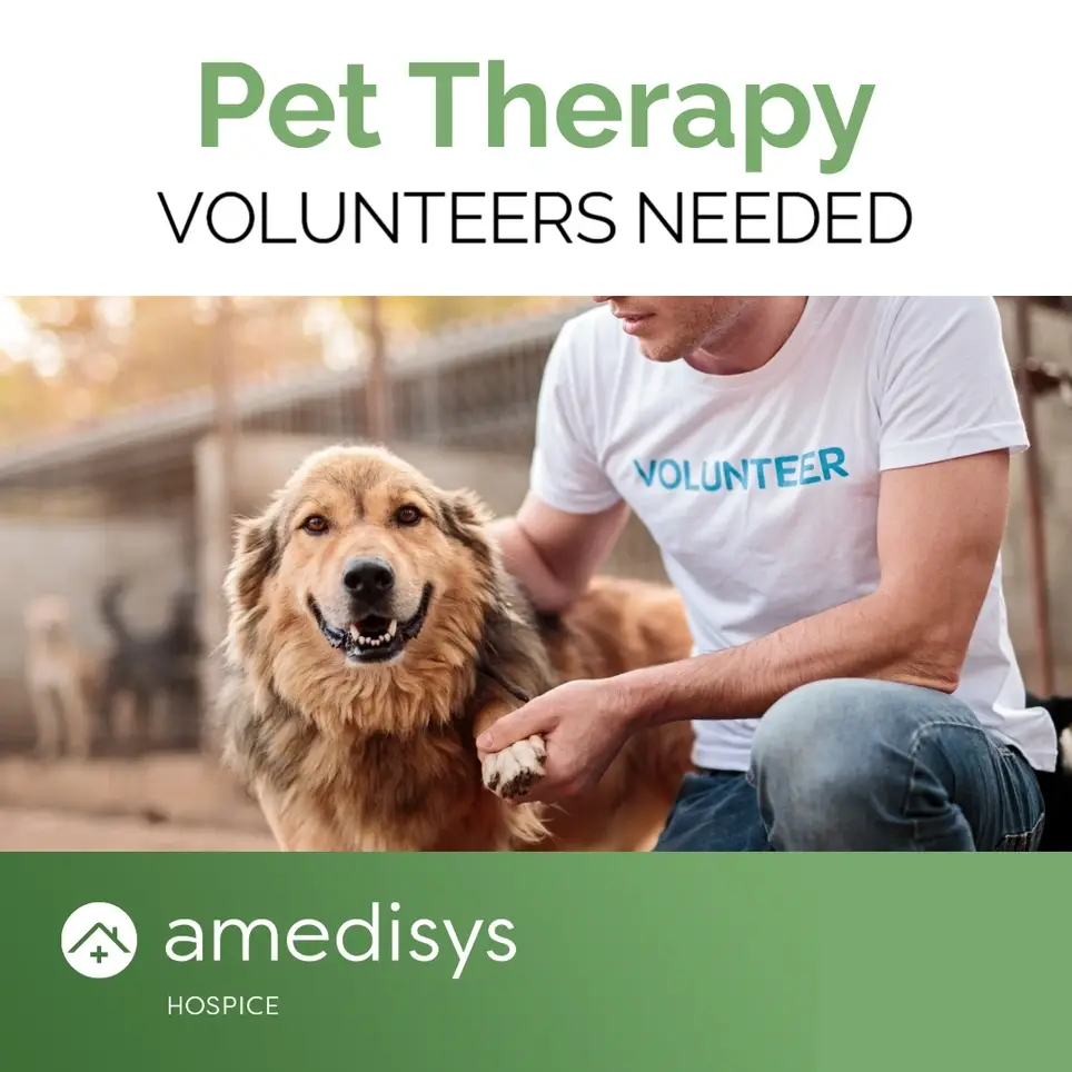 Seeking Licensed Pet Therapy Volunteers