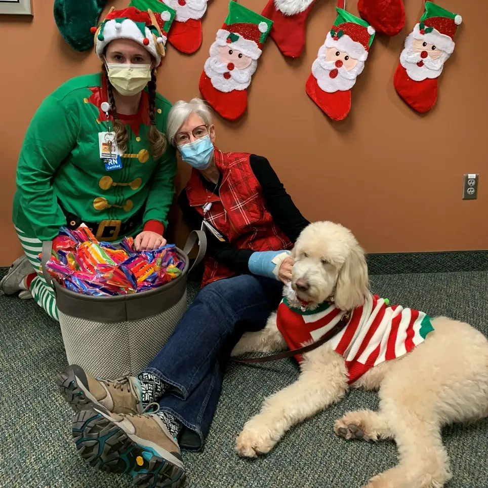 Help with Healing- Pet Therapy Teams Wanted