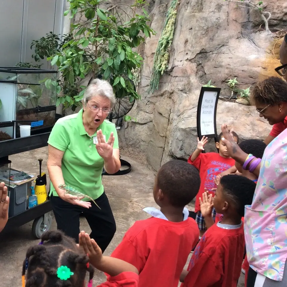 Share another part of the world as a Glasshouse Ambassador