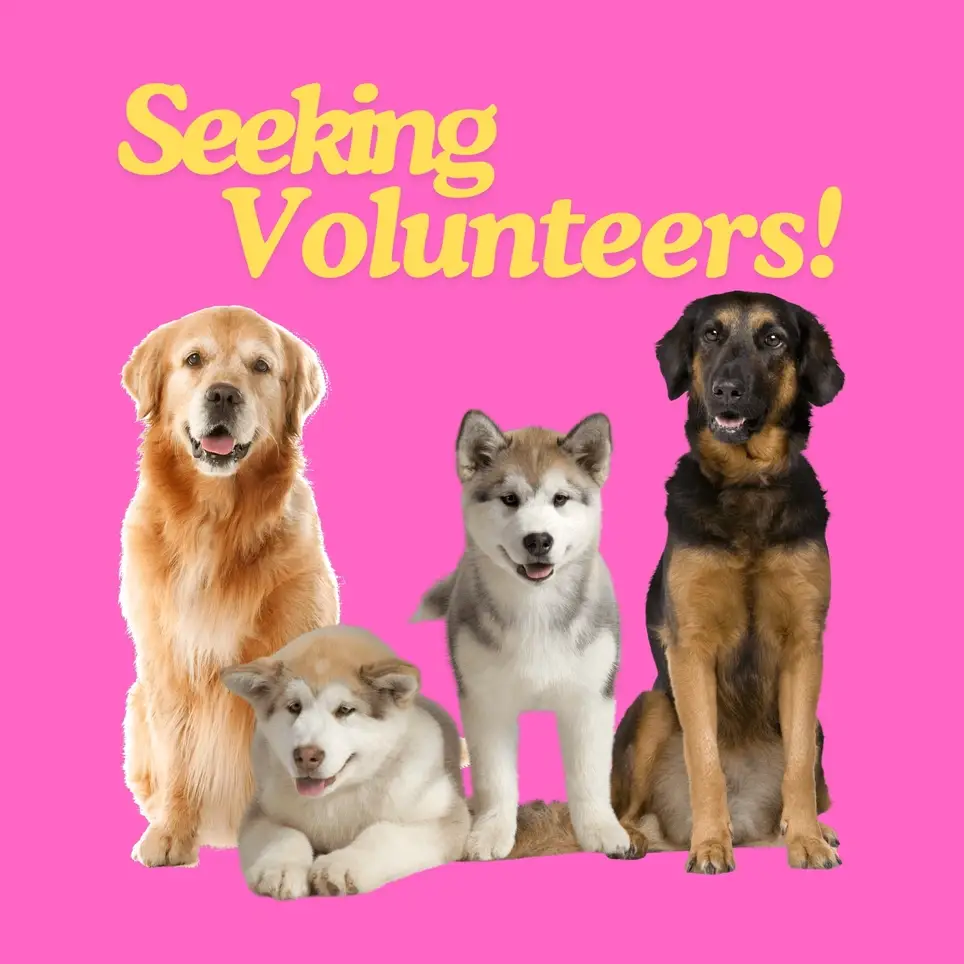 The Happy Pet Project Open Volunteer!
