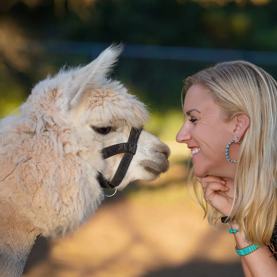 Social Media Coordinator