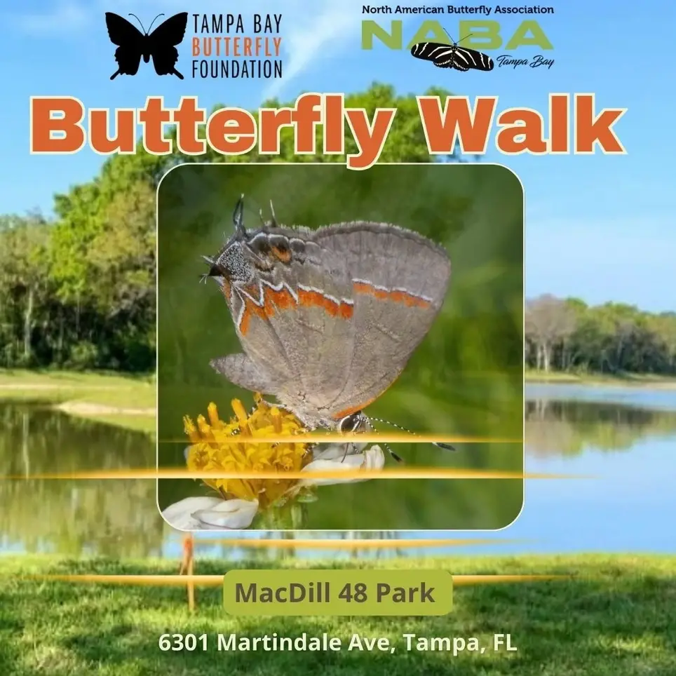Butterfly Walk at MacDill 48 Park
