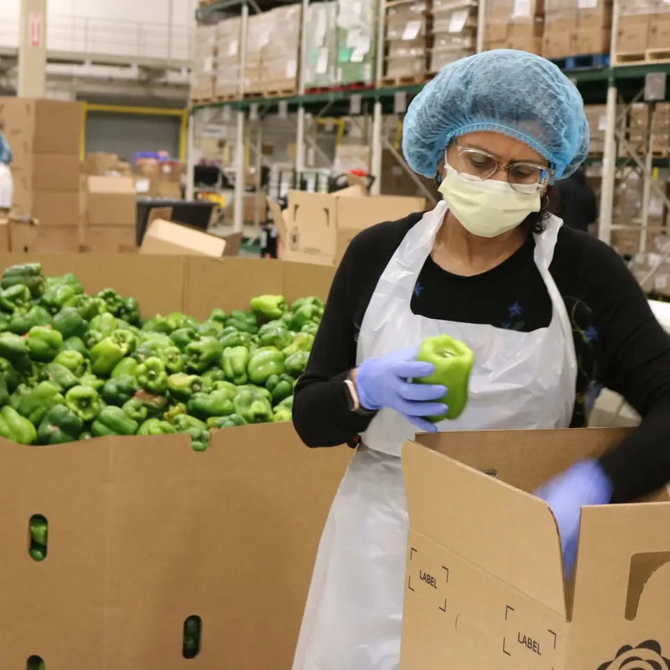 Volunteer with the Greater Chicago Food Depository!