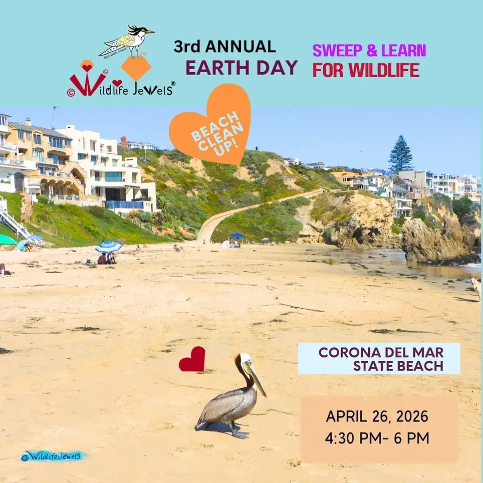 Sweep for Wildlife: Earth Day Coastal Bird Beach Cleanup — Corona del Mar