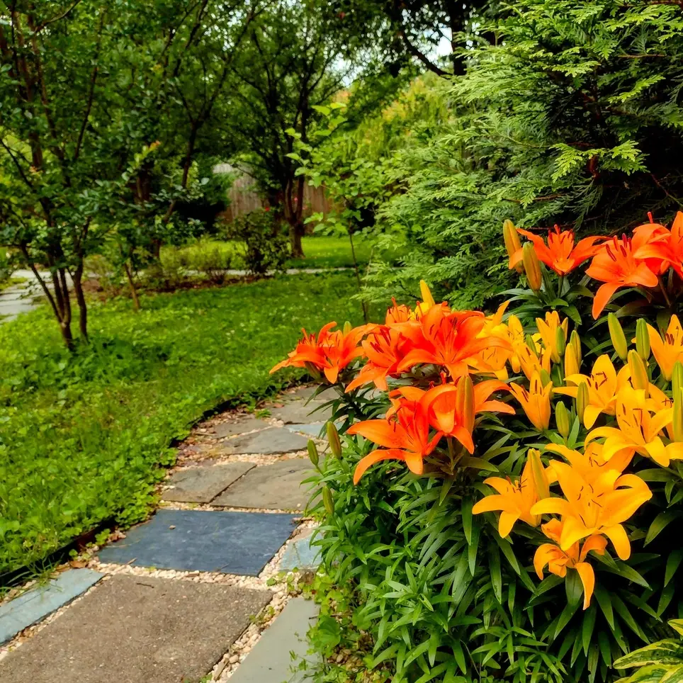 Help me and help keep our gardens beautiful!